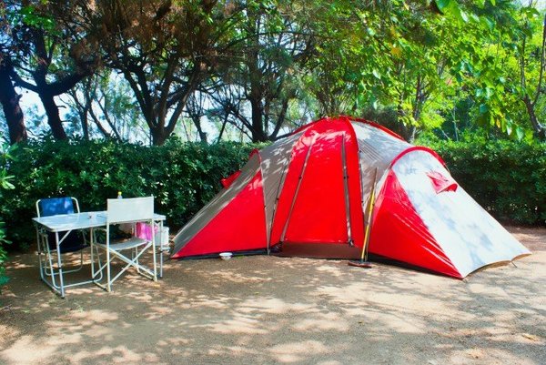Découverte du Médoc en Camping-Car : Guide des Meilleurs Spots et Conseils de Location