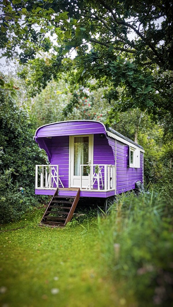 Explorer Argelès-sur-Mer depuis votre camping